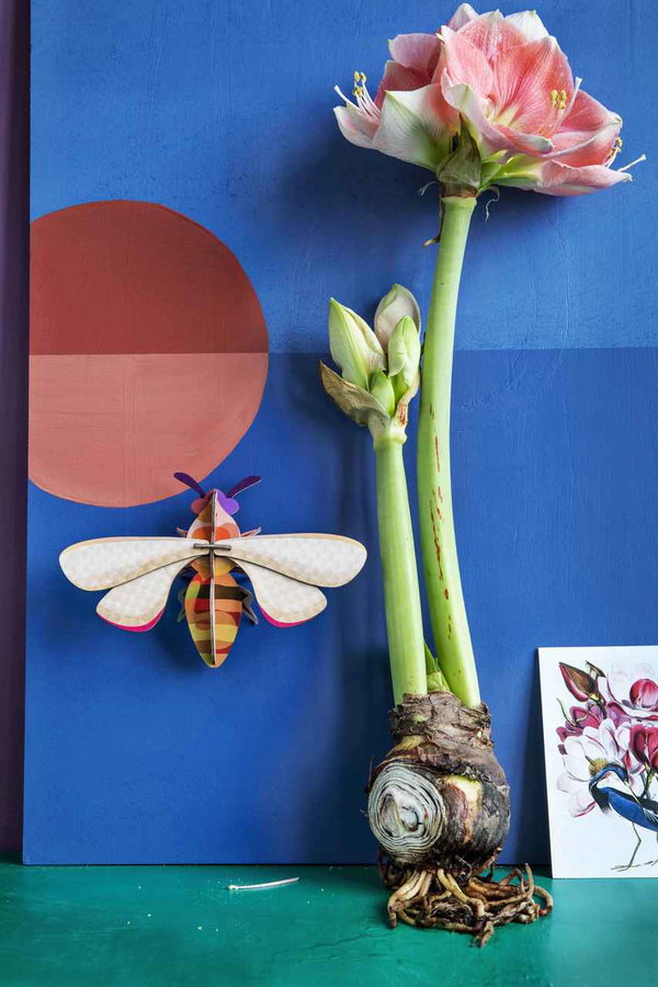 Wanddeko Papier 'Honigbiene'