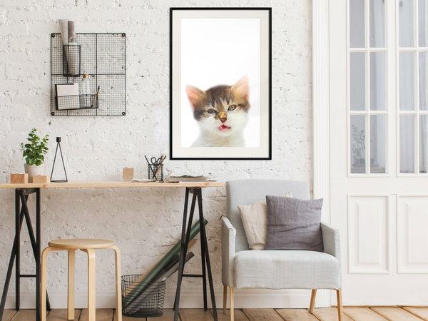 Poster 'Vexed Cat'