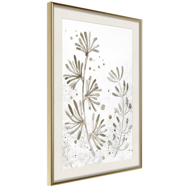 Poster 'Dried Plants'