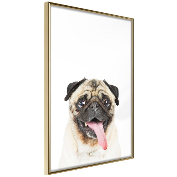 Poster 'Pug'