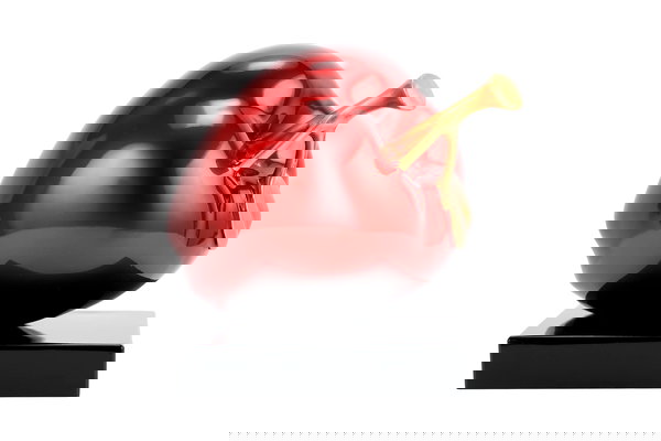 Un bijou pour votre logement