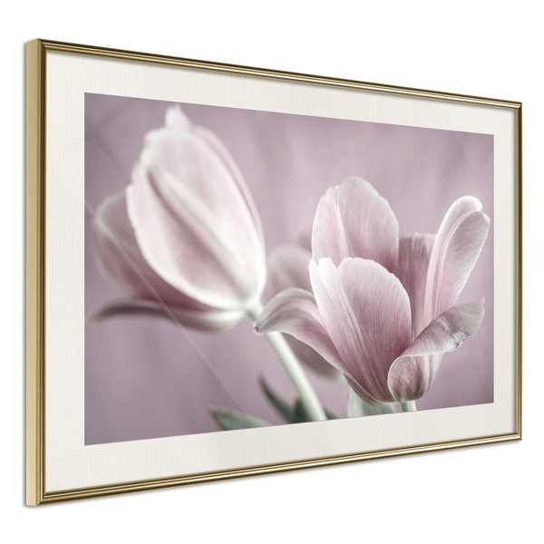 Poster 'Pastel Tulips I'