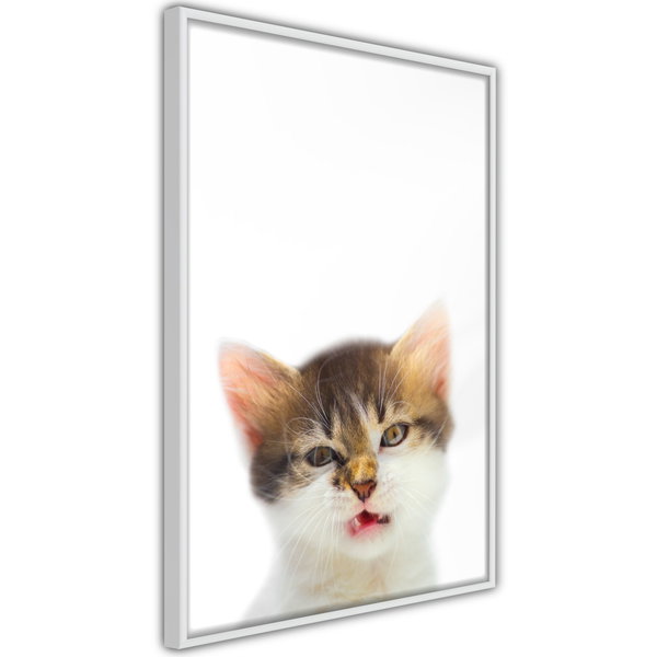 Poster 'Vexed Cat'