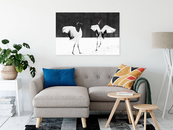 Kunstdruck auf Leinwand 'Dancing Cranes Wide'