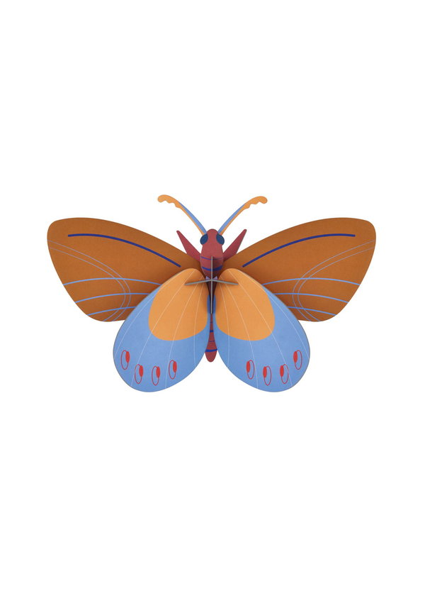 3D Wandobject gemaakt van karton 'Azure Monarch'