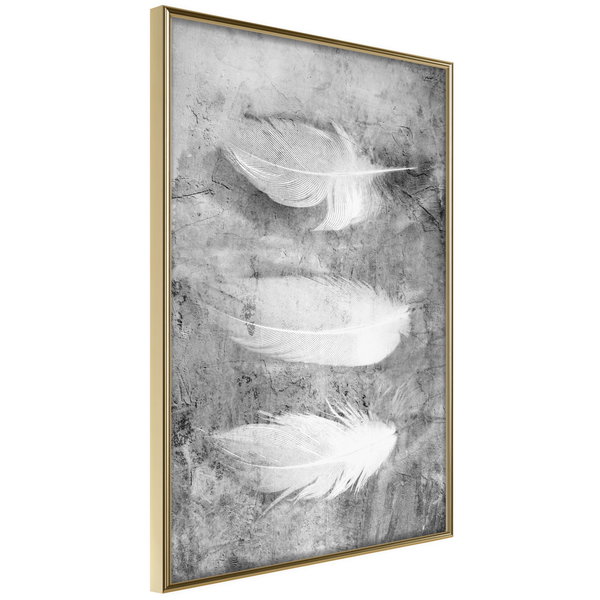 Poster 'Delicate Feathers'