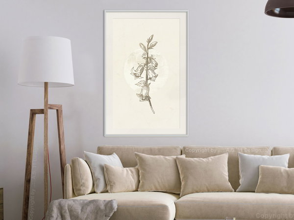 Poster 'Beige Campanula'