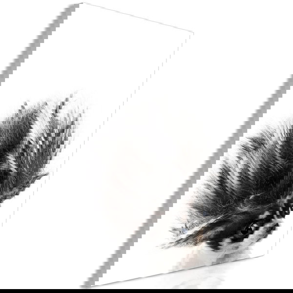 Impression sur toile 'Chihuahua Vertical'