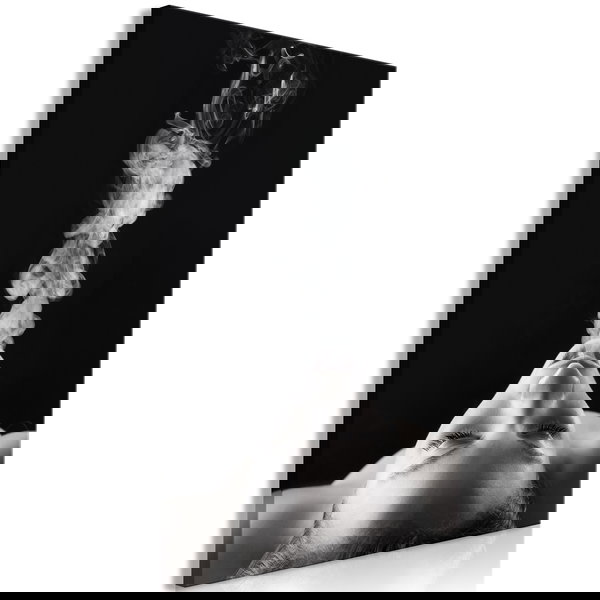 Kunstdruk op canvas 'Smoke Cloud Vertical'