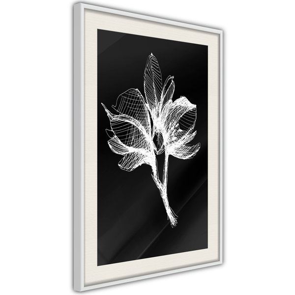 Poster 'White Plant'