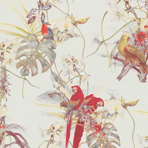 Tapete 'Parrot Gossip' 53x1005cm