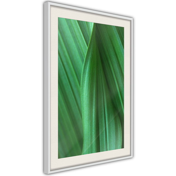 Poster 'Leaf Structure'