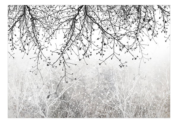 Tapete 'Natural Brightness'