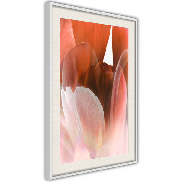 Poster 'Tulip Petals'