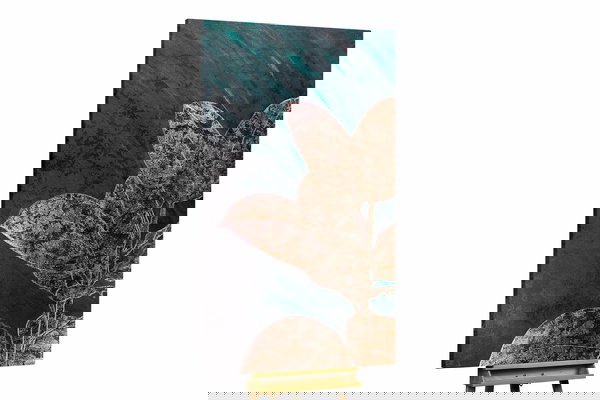 Een uniek exemplaar voor je interieur