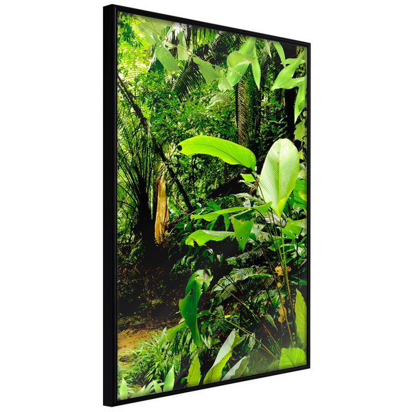 Poster 'In the Rainforest'