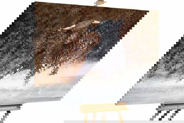 Een uniek exemplaar voor je interieur