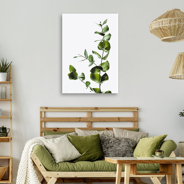 Kunstdruck auf Leinwand 'Eucalyptus'