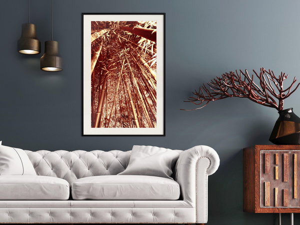 Poster 'Asian Forest'