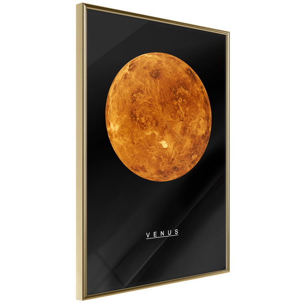 Poster 'Venus'