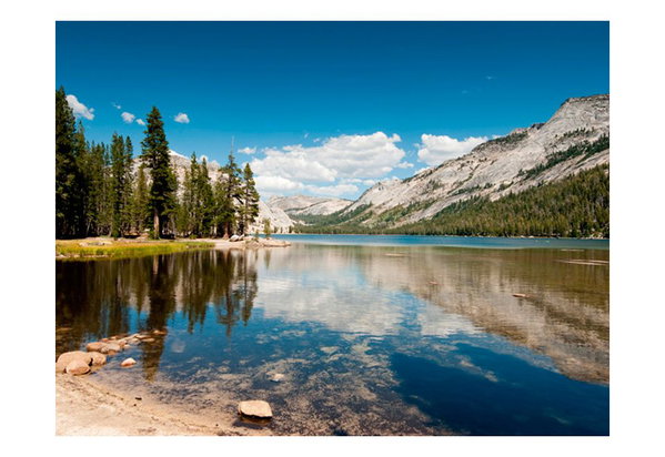 Papier peint 'Tenaya Lake - Yosemite National Park'