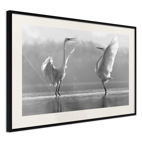 Poster 'Black and White Herons'
