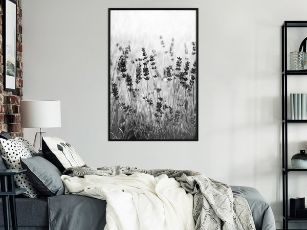 Poster 'Shadow of Meadow'
