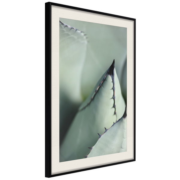 Poster 'Young Leaf of Agave'