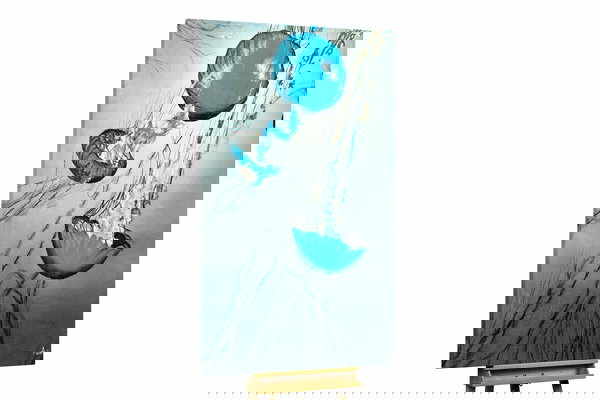 Unikat za sva četiri zida