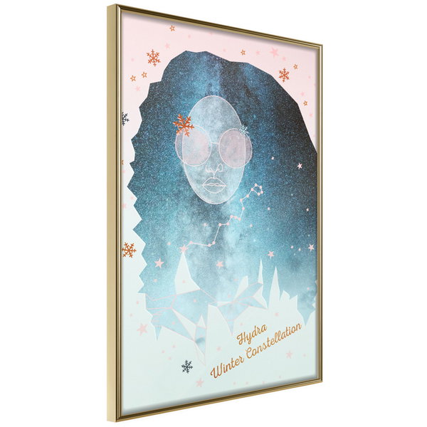 Poster 'Hydra Winter Constellation'