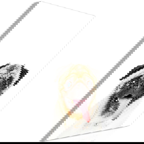 Impressão em tela 'Pug Vertical'