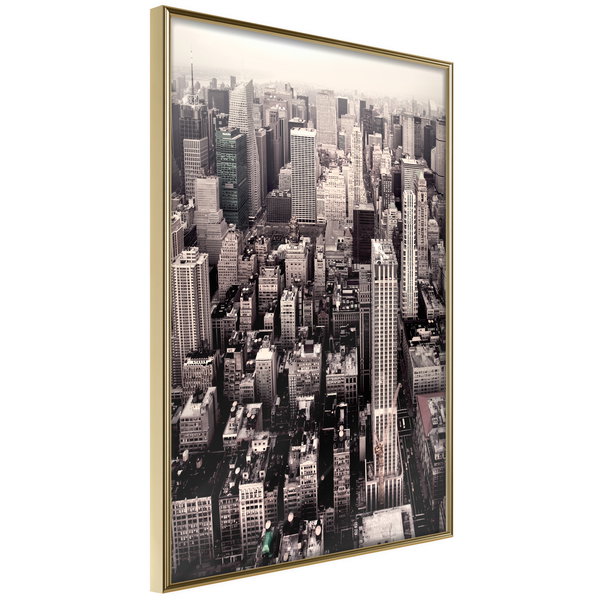 Poster 'New York from a Bird's Eye View'