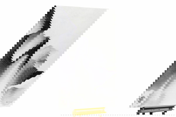 Een uniek exemplaar voor je interieur