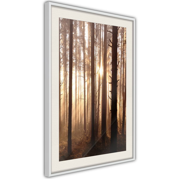 Poster 'Morning in the Forest'