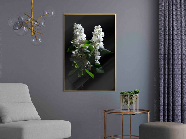 Poster 'White Lilac'