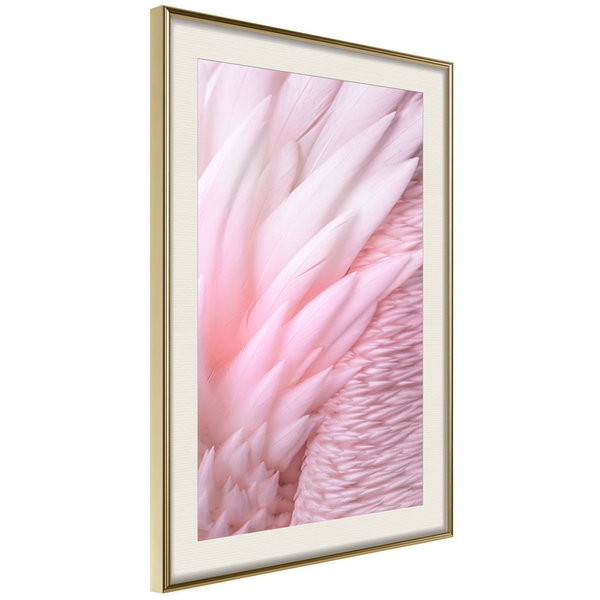 Poster 'Pink Feathers'
