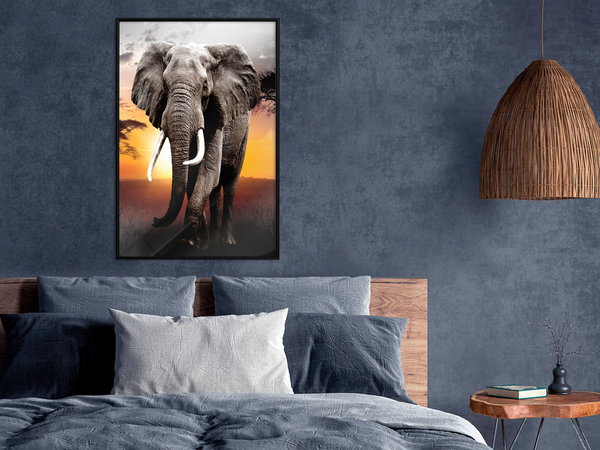 Poster 'Majestic Elephant'