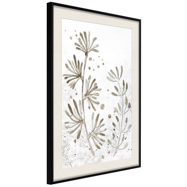 Poster 'Dried Plants'