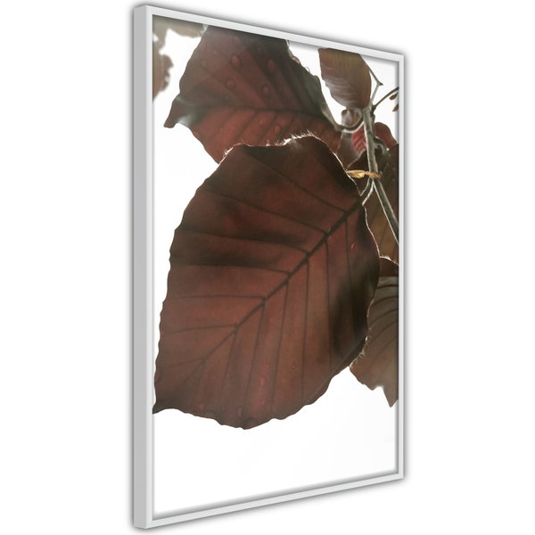 Poster 'Burgundy Tilia Leaf'