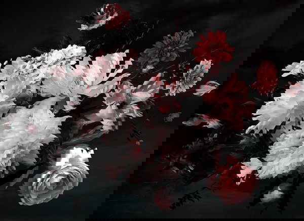 Papier peint 'Bunch of Flower 2' 350x255cm