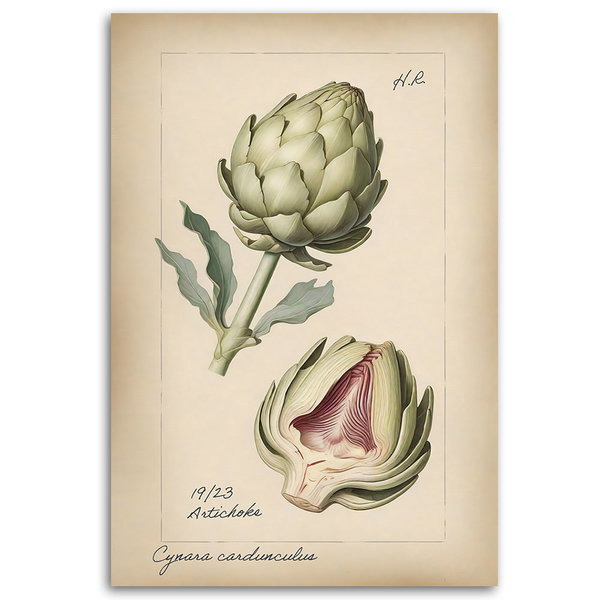 Kunstdruck auf Leinwand 'Artichoke'