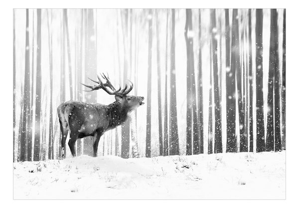 Tapete 'Deer in the Snow (Black and White)'