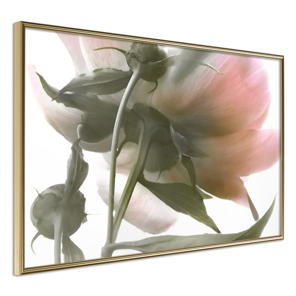 Poster 'Under the Flower'