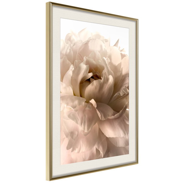 Poster 'Soft Petals'