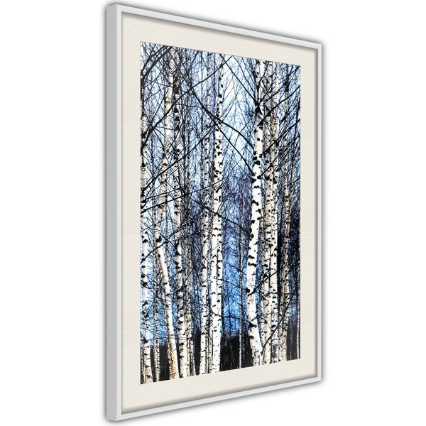 Poster 'Winter Birch Trees'