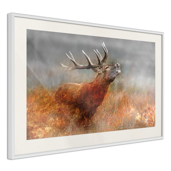 Poster 'Rut'