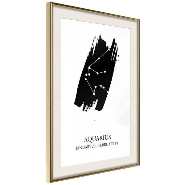 Poster 'Zodiac: Aquarius I'