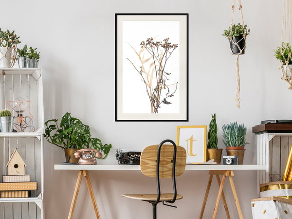 Poster 'Diary of a Herbalist'