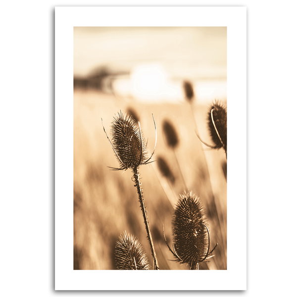 Kunstdruck auf Leinwand 'Sepia Toned Wildflowers Close-Up'