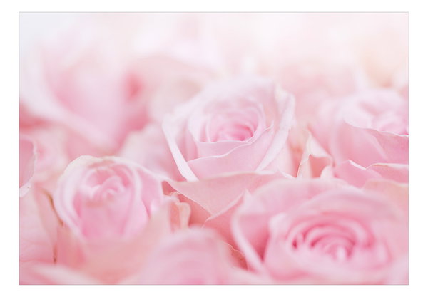 Carta da parati autoadesiva 'Ocean of Roses'